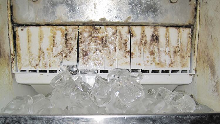 Faecal bacteria found in ice and soda at UK's leading pub chains