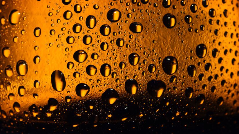 5 key trends shaping the future of beer