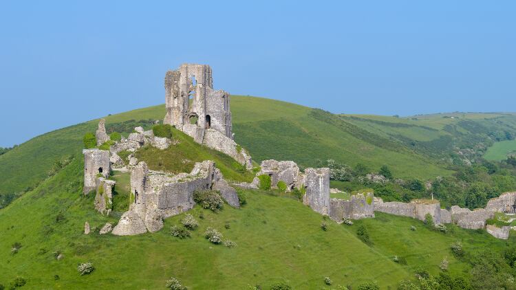 Dorset-2.jpg