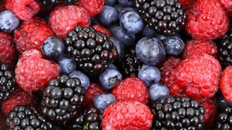 What's next for fruit cider?