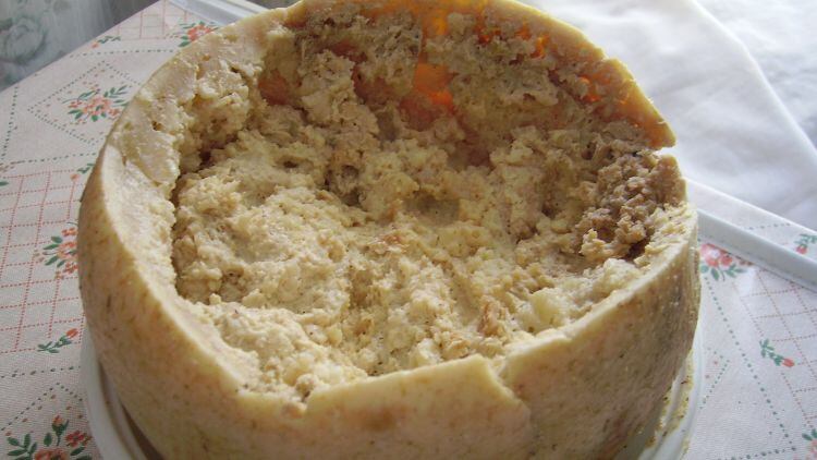 Casu_Marzu_cheese.jpg