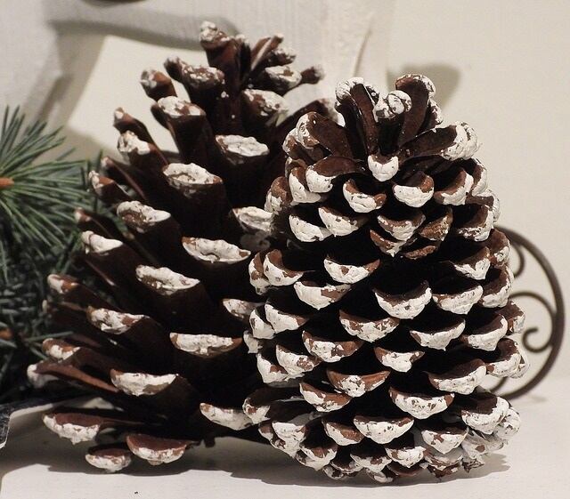 cones-3795340_640.jpg