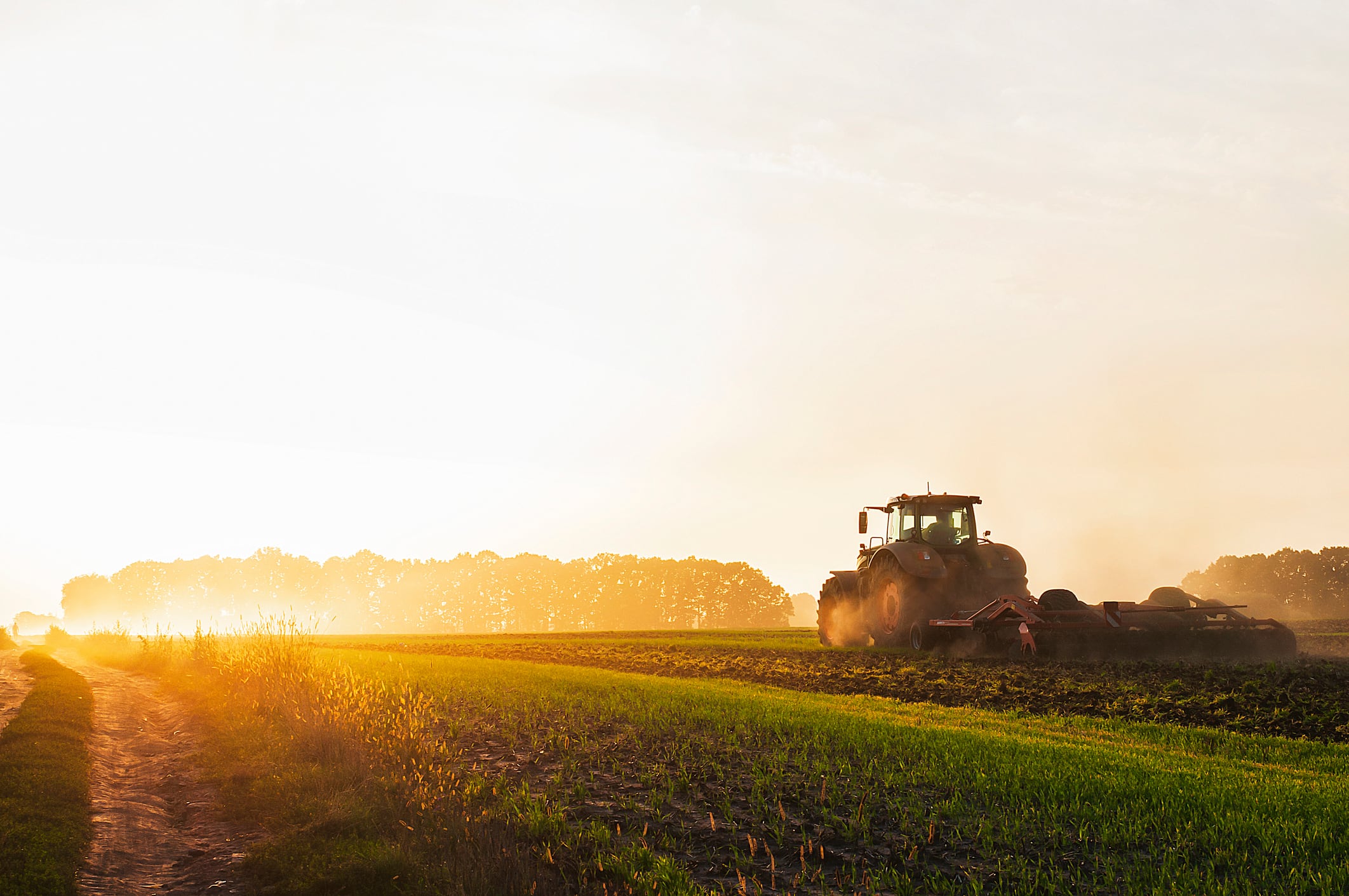 A tractor in a field plows the ground at dawn, sowing grain