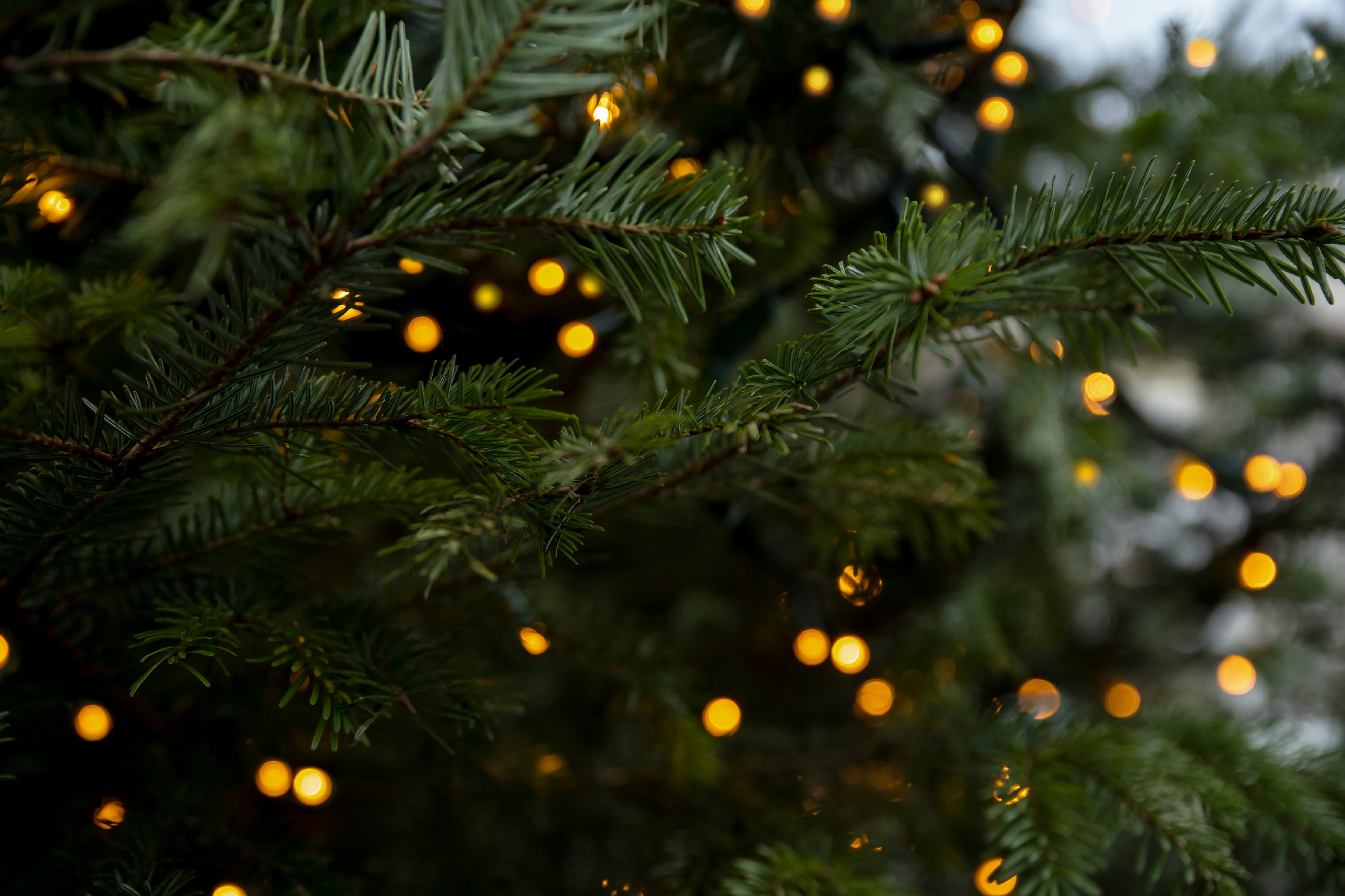 Stonegate’s festive trade performance ‘encouraging’