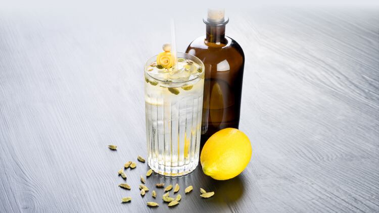 Gin sales overtake vodka