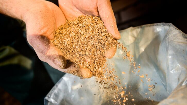 malted_barley-optimized.jpg