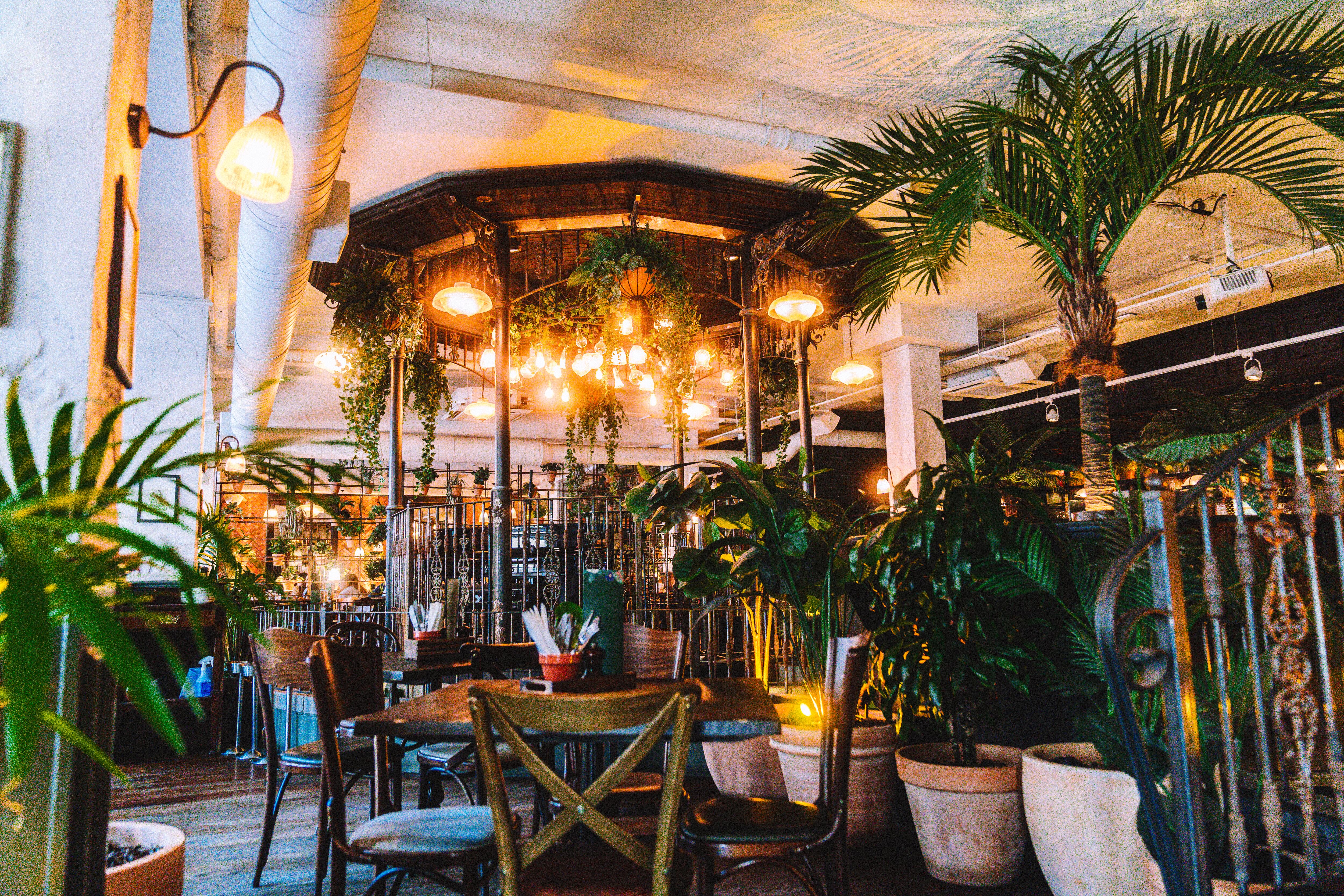 The Botanist Cardiff