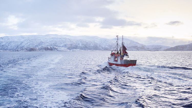 2016_01_15_SKREI_18466.jpg