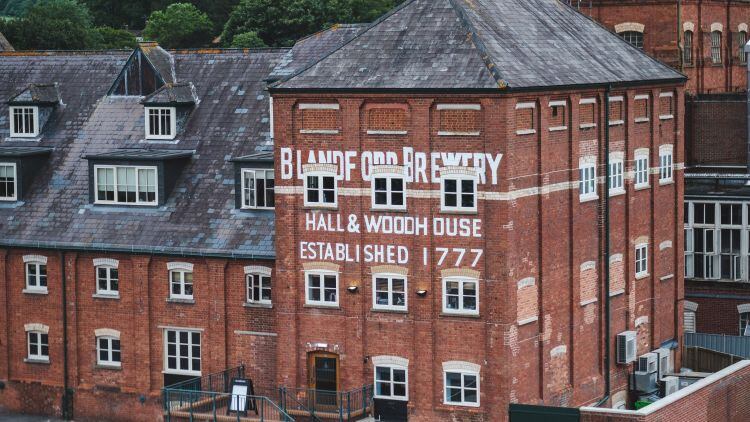 Hall & Woodhouse sees turnover drop of more than a third