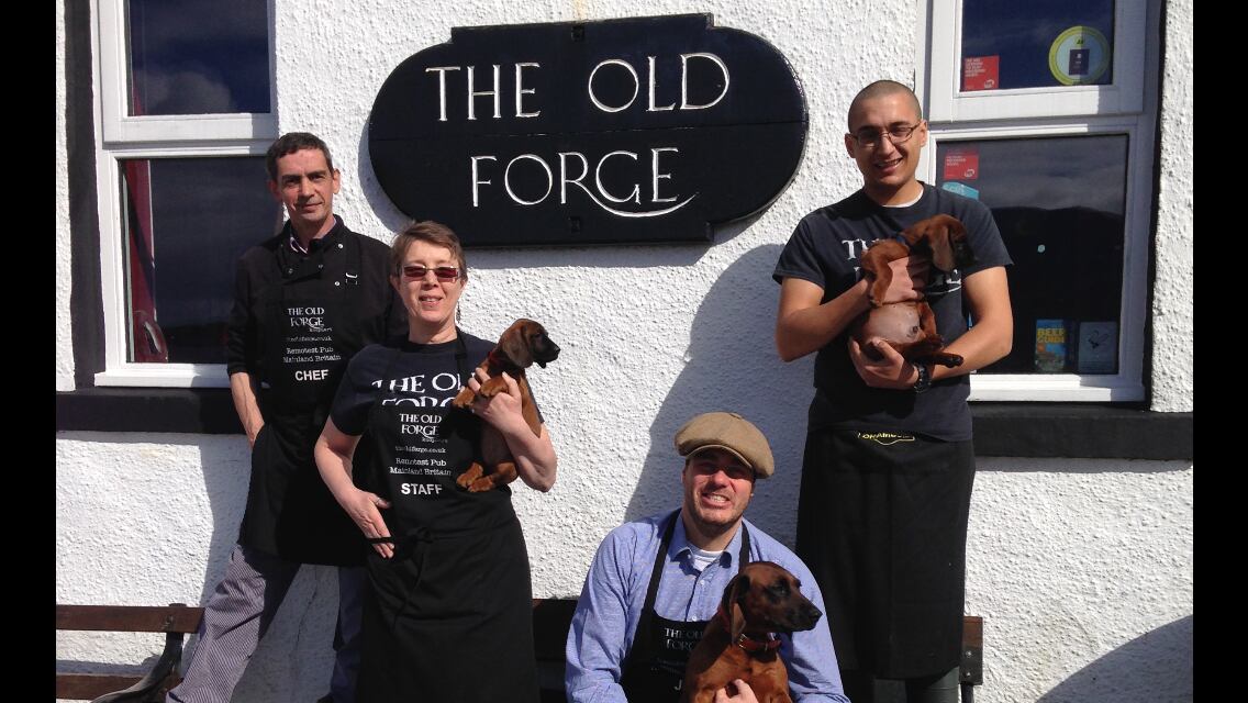 Old-Forge-Team-2016.png