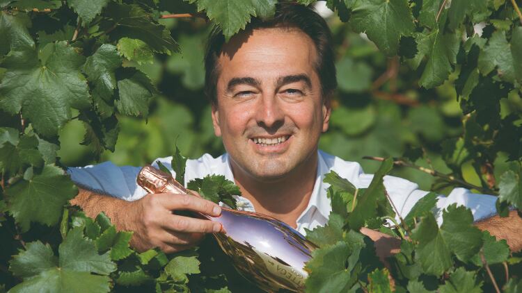 Prosecco bubble hasn’t burst yet, says Bottega boss
