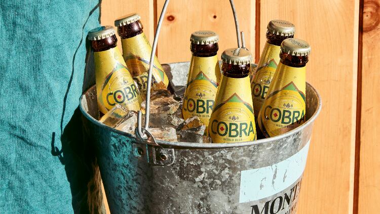 Cobra-3.jpg