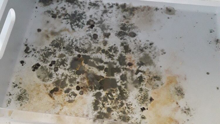 Pub-ordered-to-pay-more-than-140-000-for-food-hygiene-failures.jpg