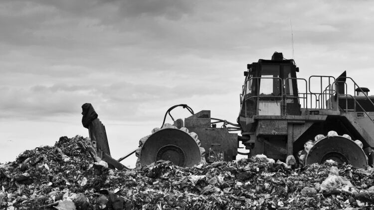 Food waste costs Britain's pub operators more than £350m per year