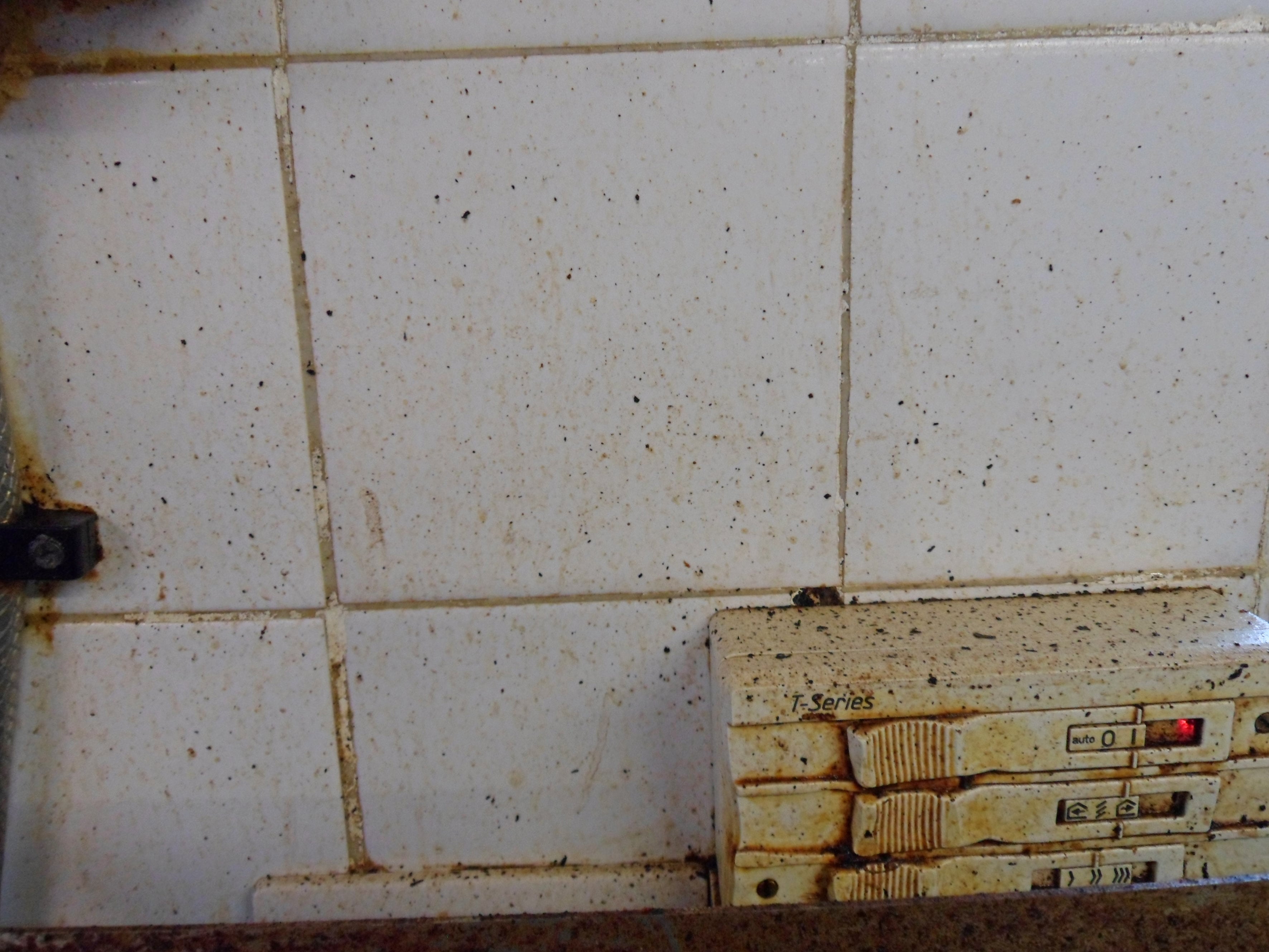 Dirty-kitchen-wall-1.jpg