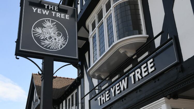 Yew-Tree.jpg