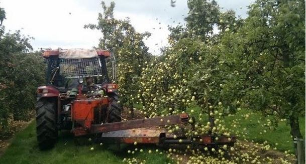 Aston Manor Cider bought by French firm