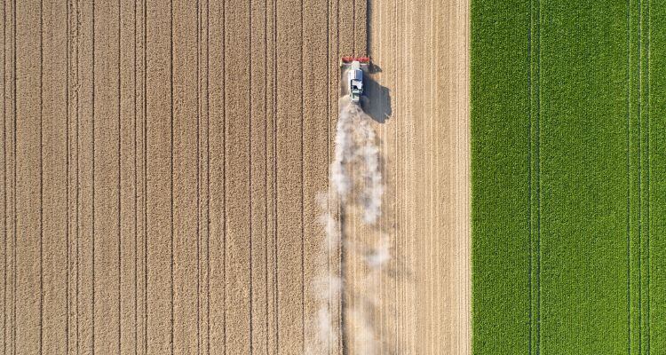Food prices rise by 1.2%, further increases predicted into 2022