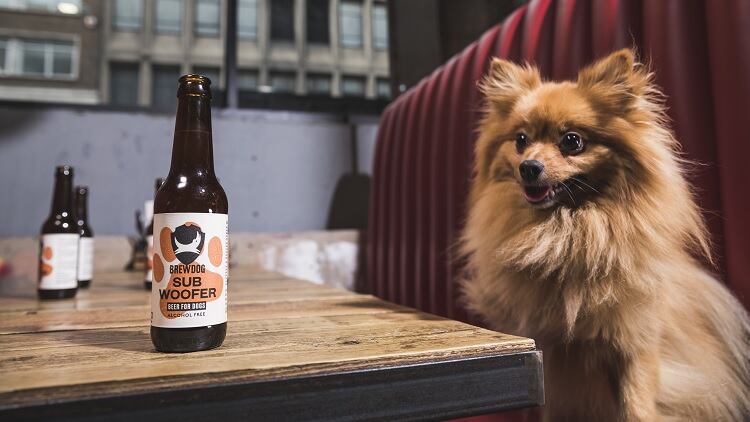 BrewDog launches ‘craft beer for dogs’ 