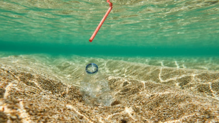 Zero-Waste-Scotland-urges-trade-to-ditch-single-use-items.jpg