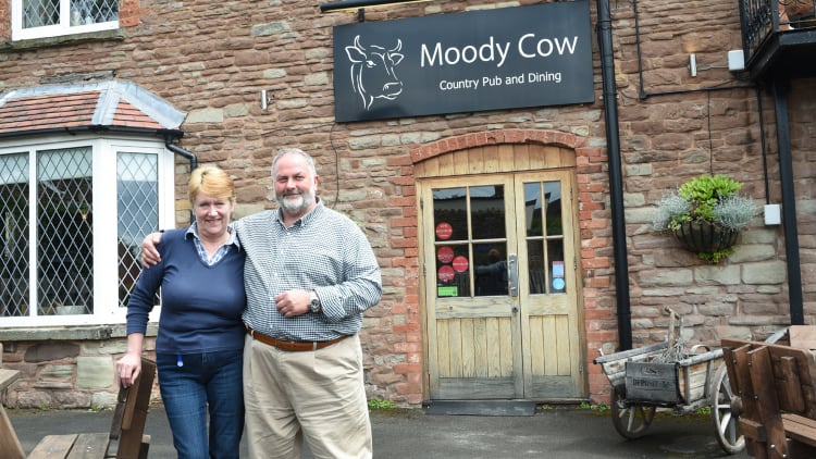 Moody-Cow-6.jpg