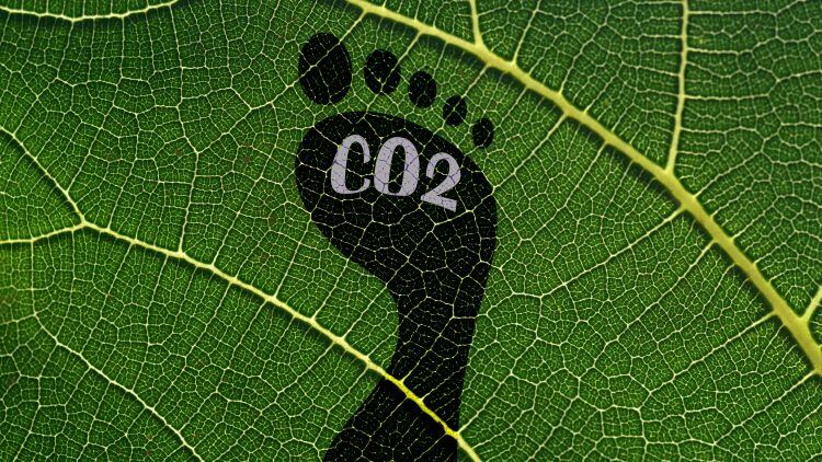 BBPA ‘encouraged’ by fresh CO2 deal yet more details needed 