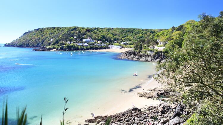 Devon-1.jpg