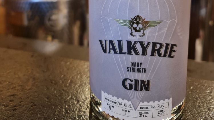 RESIZEDValkyrie-2.jpg