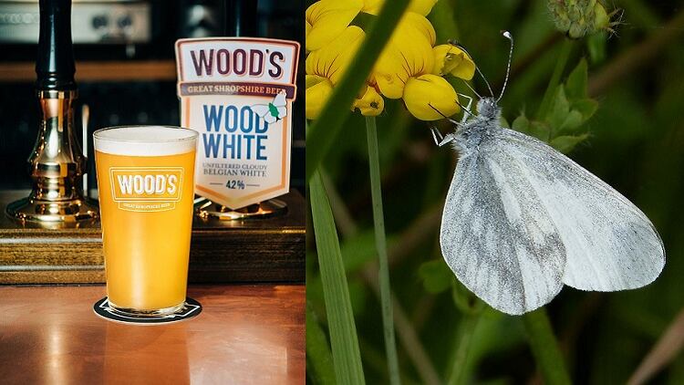 Wood's Brewery raises funds for rare butterfly