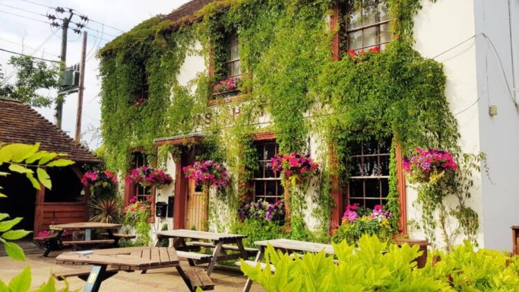 Tiger-inn.jpg