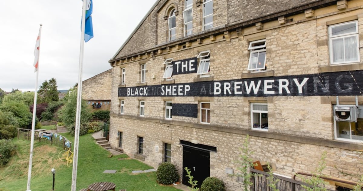 Great British Drinks Company appoints on-trade chief after Keystone deal