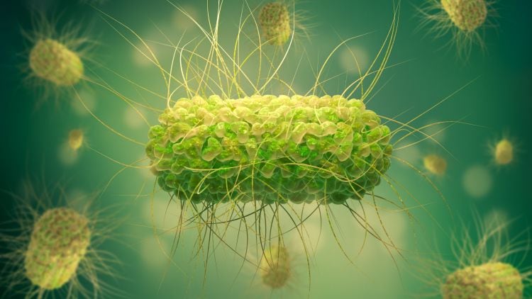 Pubs urged to ensure hygiene doesn’t slip in light of Salmonella cases