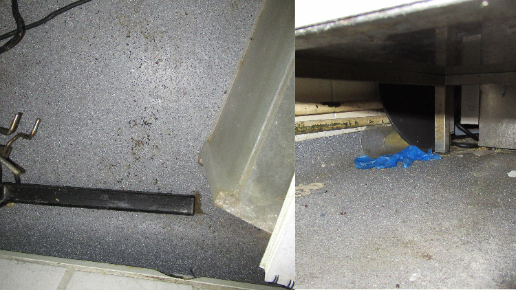 Stonegate pub fined £53k after mouse infestation found