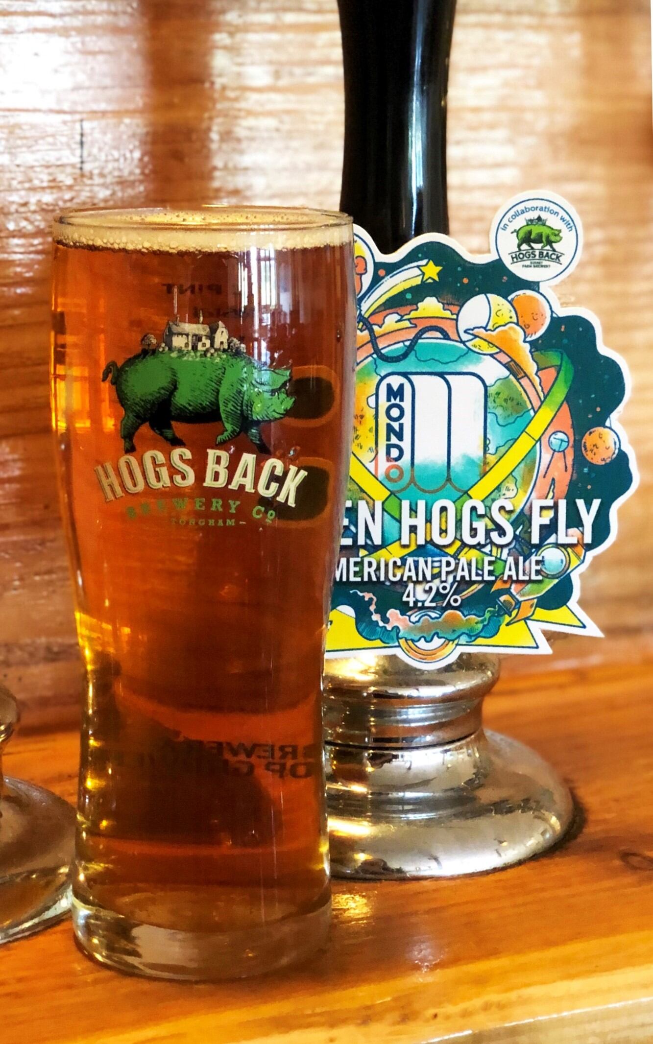 When-hogs-fly-pic.jpg
