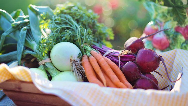 Extreme weather to cause 5% rise in food prices