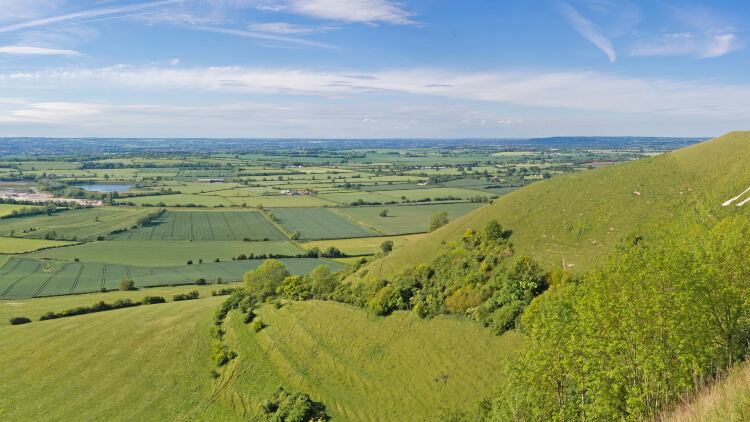 Wiltshire-4.jpg
