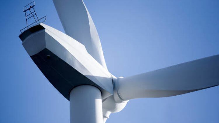'Financial incentives' needed to hit net zero goals