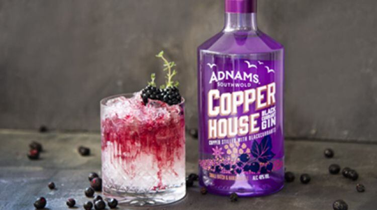 RESIZEDadnamscopperhouse.jpg