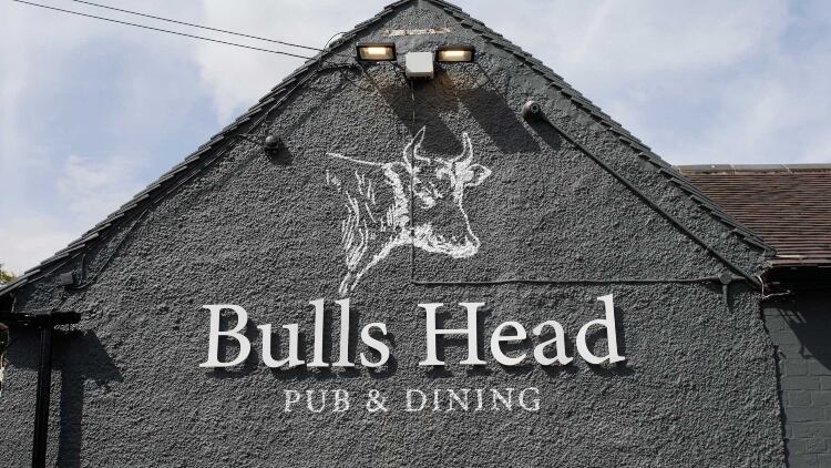Bulls.jpg