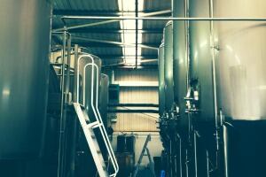 Brewery.now.jpg