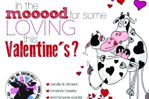 Bull-inn-valentines-day.jpg