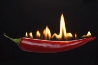 Fiery.hot.pepper