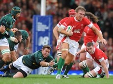 Apply now: Licensees in TV licence warning for Rugby World Cup