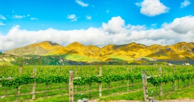 New Zealand driving UK wine market