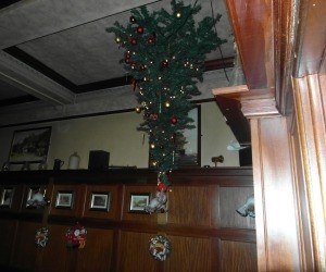 Kent pub puts 'up' its Xmas tree, literally