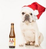The brand aims for dogs to enjoy a beer with their owners