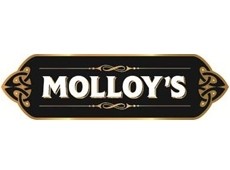Molloy's: Irish bar concept