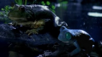 Blast from the past: the original Bud frogs advert was released in 1995