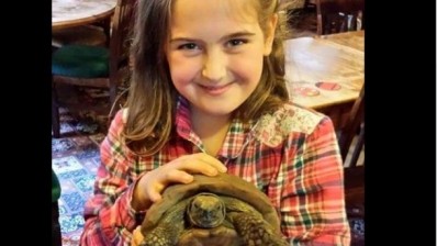 Tortoise missing from Lincolnshire pub