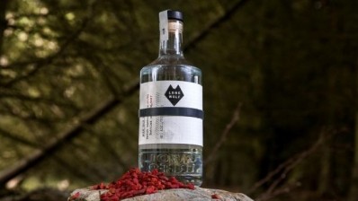 Happy ending: the Wolf bar in Birmingham and BrewDog have teamed up to create a gin